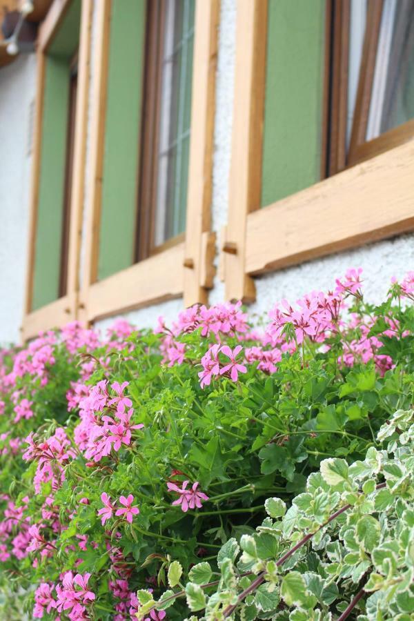 Landgasthof Ritter Orsingen-Nenzingen Exteriör bild